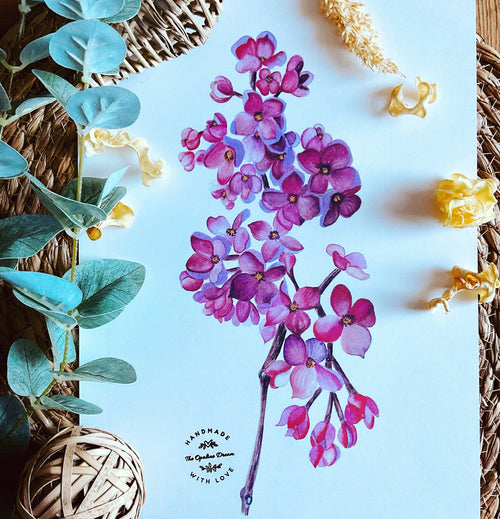 Aquarelle Originale Branche de Lilas | Art Floral Peint à la Main (33 x 43 cm)