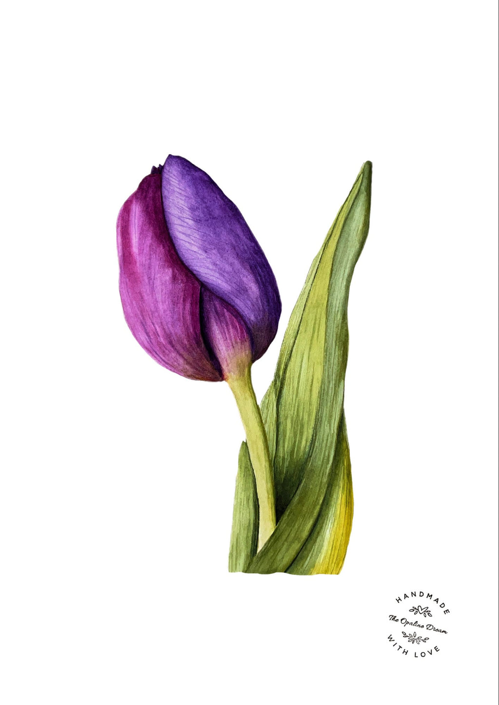Impression Aquarelle Tulipe A4 | Illustration Florale sur Papier 300g