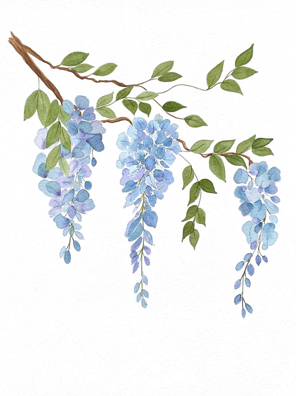 Impression Aquarelle Glycine | Illustration Florale sur Papier 300g