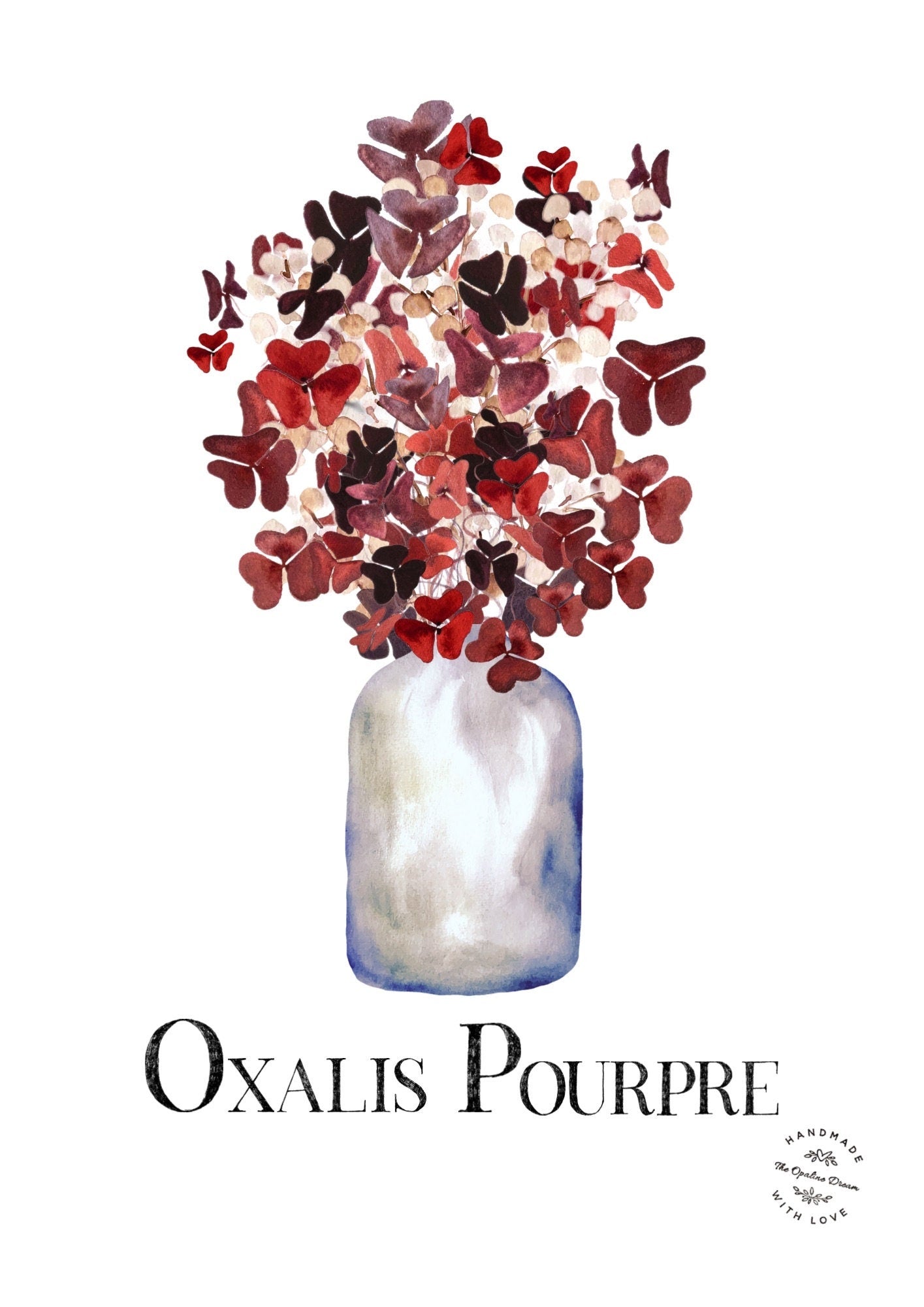 Impression Aquarelle Oxalis Pourpre A4 | Illustration Botanique Originale