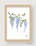 Impression Aquarelle Glycine | Illustration Florale sur Papier 300g