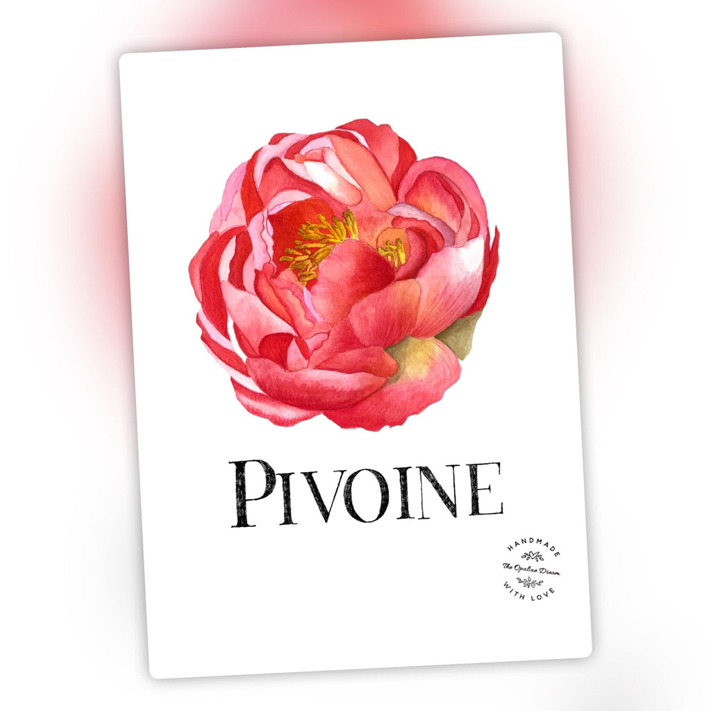 Impression Aquarelle Pivoine A4 | Illustration Florale sur Papier 300g