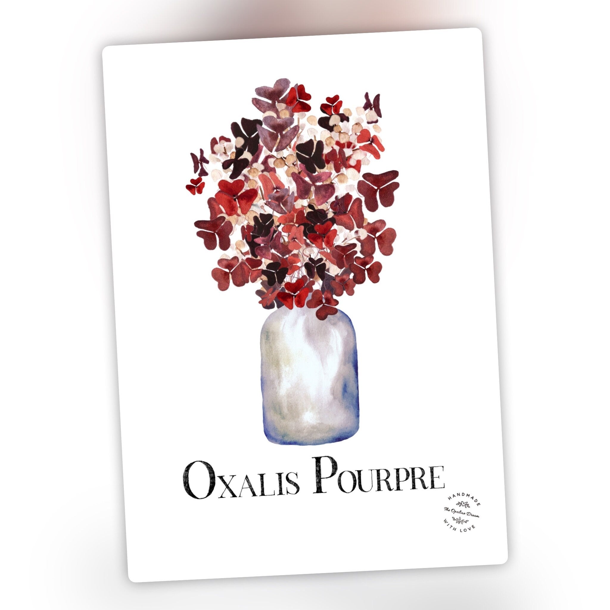 Impression Aquarelle Oxalis Pourpre A4 | Illustration Botanique Originale